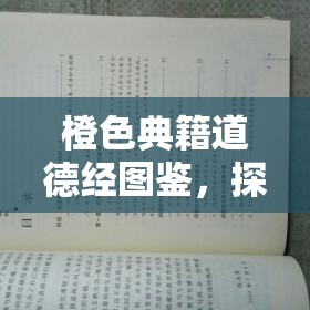 橙色典籍道德经图鉴，探索资源管理中的古老智慧之光