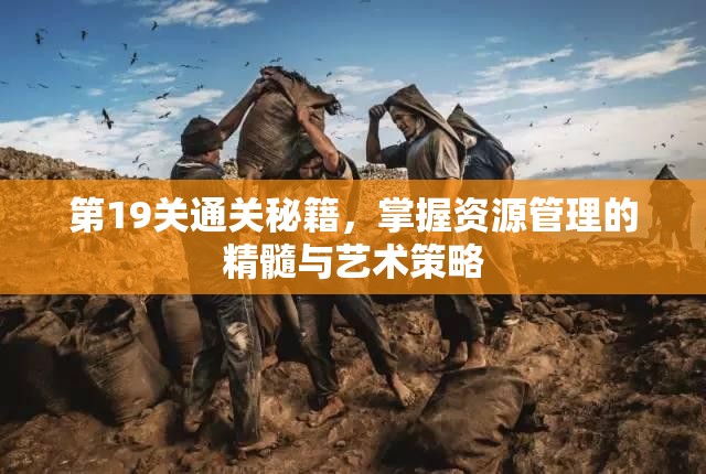 第19关通关秘籍，掌握资源管理的精髓与艺术策略