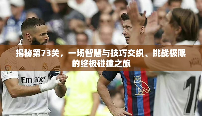 揭秘第73关，一场智慧与技巧交织、挑战极限的终极碰撞之旅