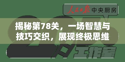 揭秘第78关，一场智慧与技巧交织，展现终极思维碰撞的挑战