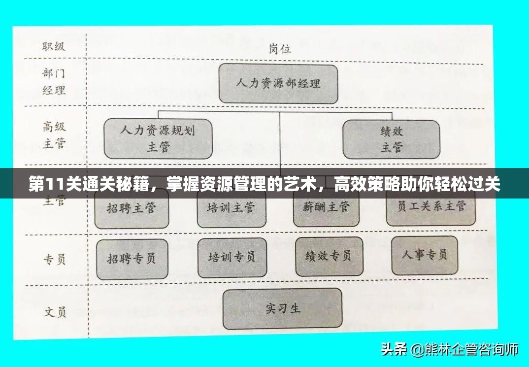 第11关通关秘籍，掌握资源管理的艺术，高效策略助你轻松过关