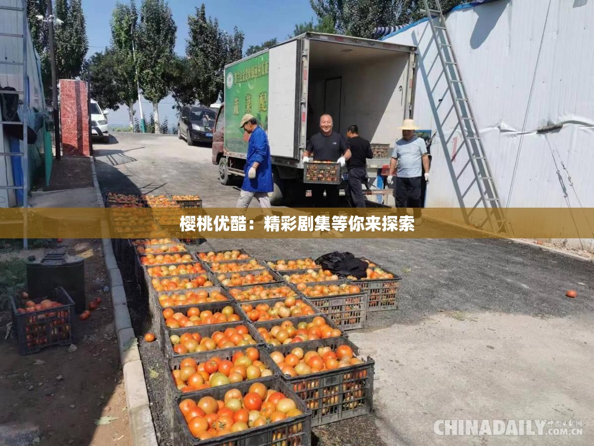 樱桃优酷：精彩剧集等你来探索