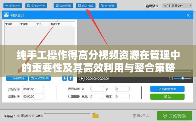 纯手工操作得高分视频资源在管理中的重要性及其高效利用与整合策略