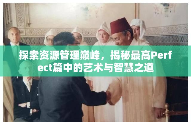 探索资源管理巅峰，揭秘最高Perfect篇中的艺术与智慧之道