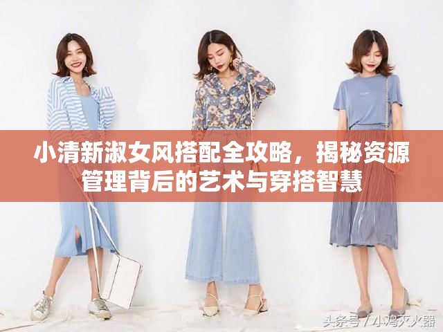 小清新淑女风搭配全攻略，揭秘资源管理背后的艺术与穿搭智慧