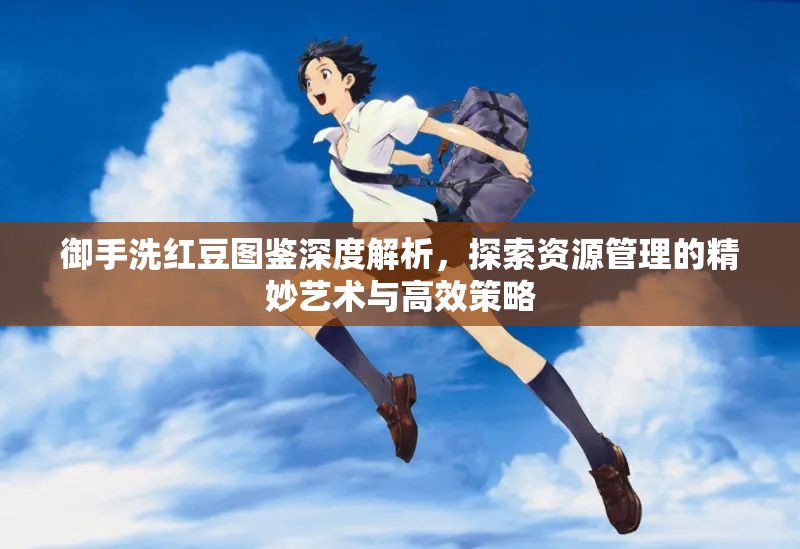御手洗红豆图鉴深度解析，探索资源管理的精妙艺术与高效策略