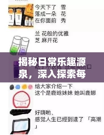 揭秘日常乐趣源泉，深入探索每日任务系统的趣味性与奖励机制