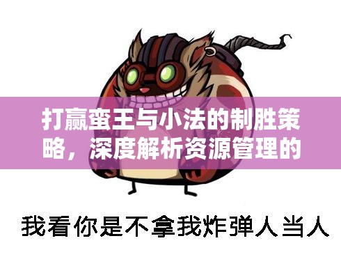 打赢蛮王与小法的制胜策略，深度解析资源管理的艺术与妙招