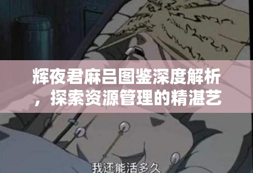 辉夜君麻吕图鉴深度解析，探索资源管理的精湛艺术与高效策略