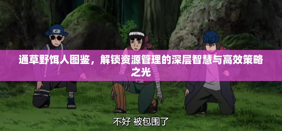 通草野饵人图鉴，解锁资源管理的深层智慧与高效策略之光