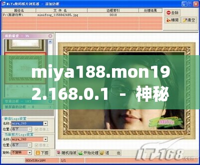 miya188.mon192.168.0.1  -  神秘的数字组合背后的秘密