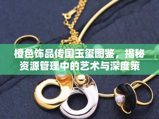 橙色饰品传国玉玺图鉴，揭秘资源管理中的艺术与深度策略运用