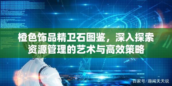 橙色饰品精卫石图鉴，深入探索资源管理的艺术与高效策略