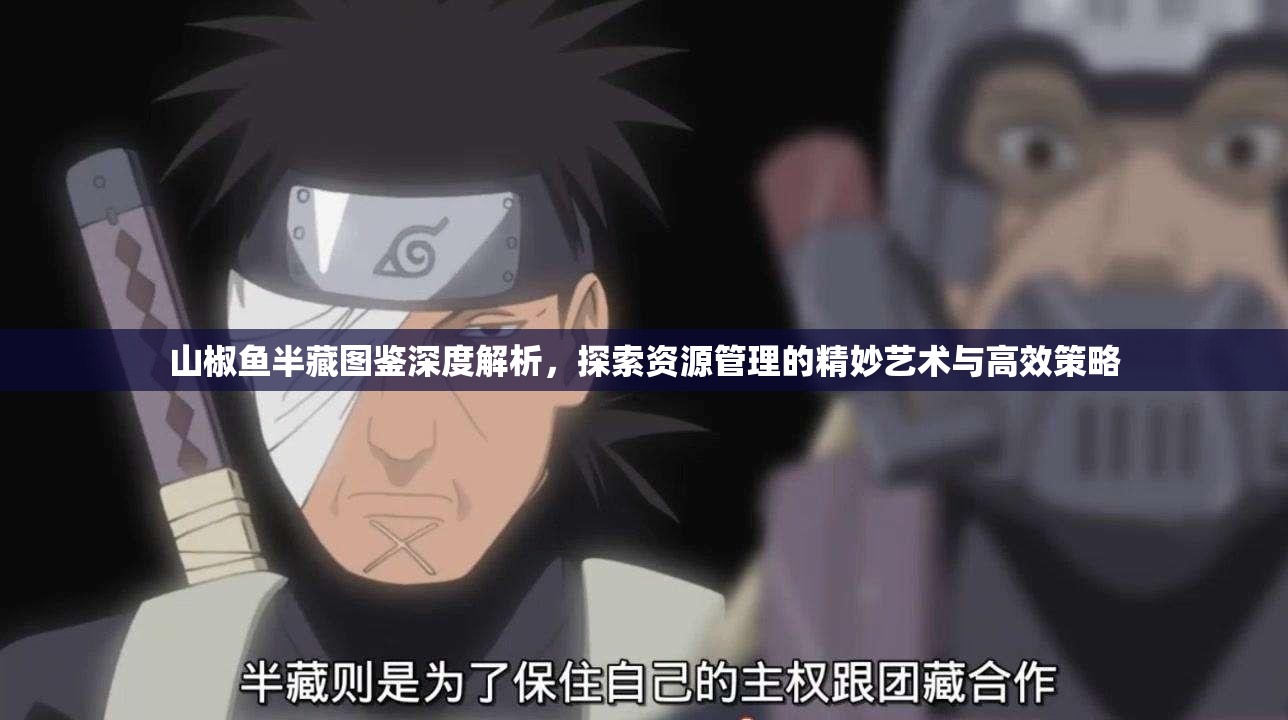 山椒鱼半藏图鉴深度解析，探索资源管理的精妙艺术与高效策略