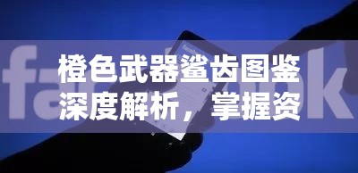 橙色武器鲨齿图鉴深度解析，掌握资源管理的艺术与策略精髓