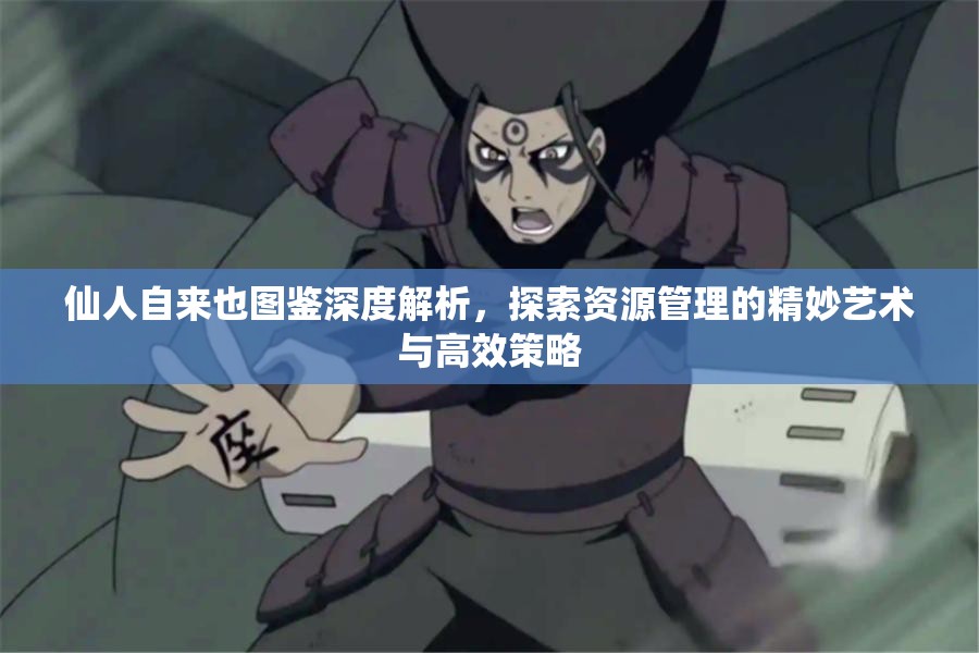 仙人自来也图鉴深度解析，探索资源管理的精妙艺术与高效策略