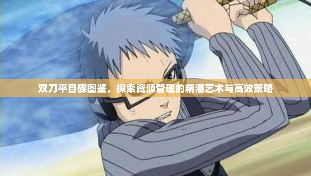 双刀平目碟图鉴，探索资源管理的精湛艺术与高效策略