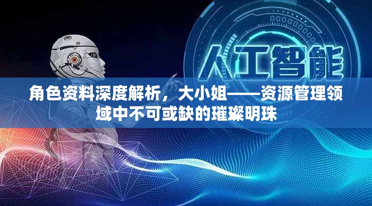 角色资料深度解析，大小姐——资源管理领域中不可或缺的璀璨明珠