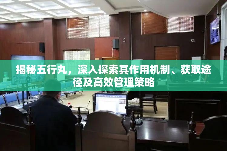 揭秘五行丸，深入探索其作用机制、获取途径及高效管理策略