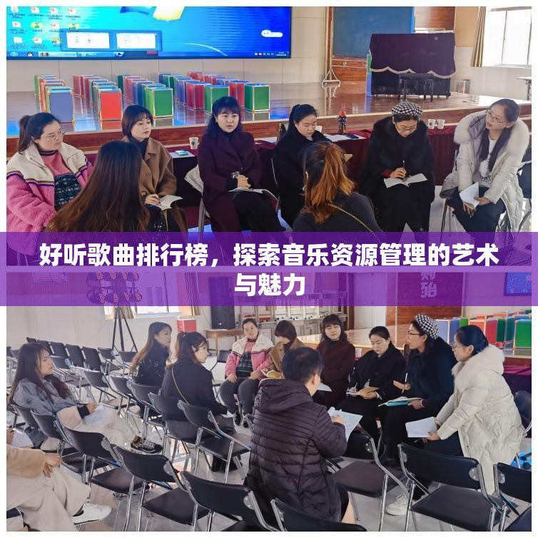 好听歌曲排行榜，探索音乐资源管理的艺术与魅力