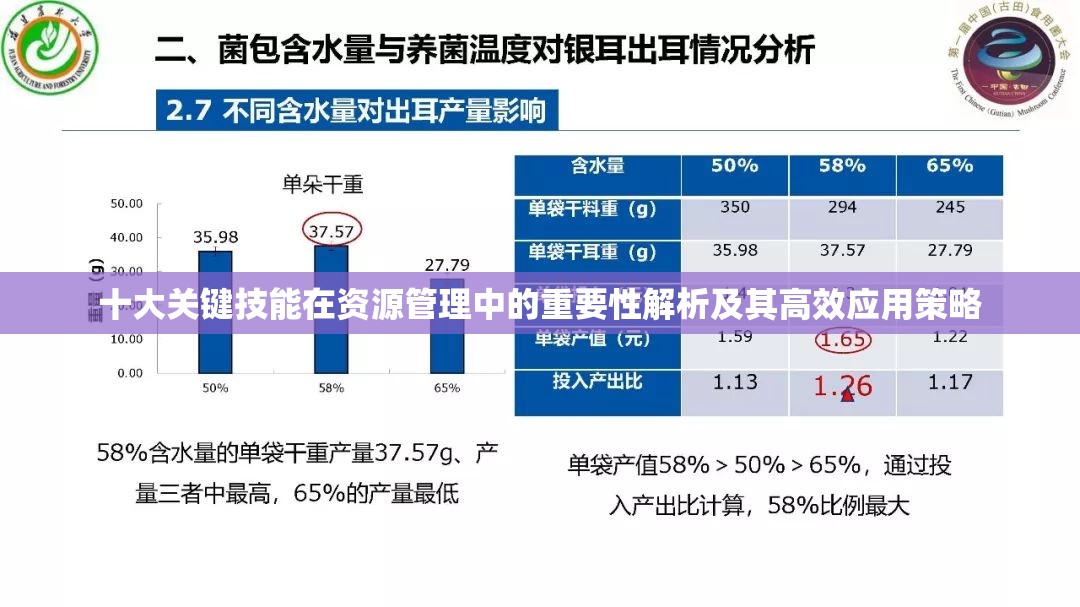 十大关键技能在资源管理中的重要性解析及其高效应用策略