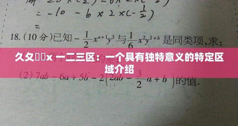 久夂乄乄x 一二三区：一个具有独特意义的特定区域介绍
