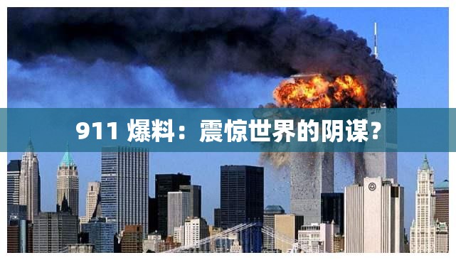 911 爆料：震惊世界的阴谋？