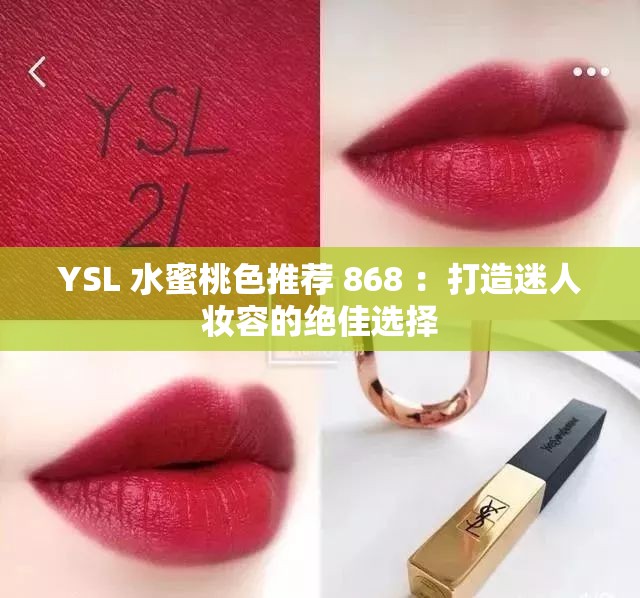YSL 水蜜桃色推荐 868 ：打造迷人妆容的绝佳选择