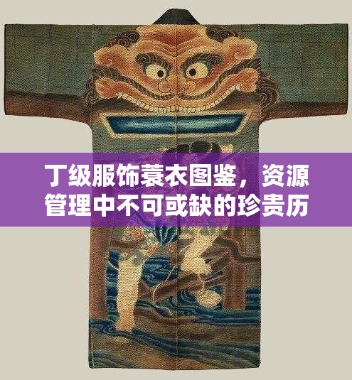 丁级服饰蓑衣图鉴，资源管理中不可或缺的珍贵历史瑰宝