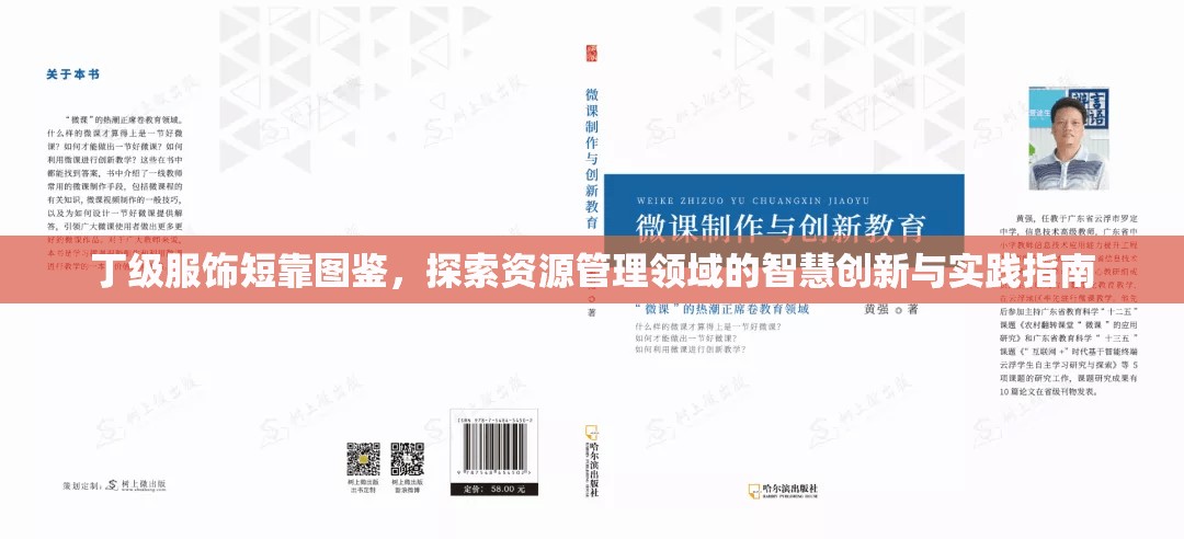 丁级服饰短靠图鉴，探索资源管理领域的智慧创新与实践指南