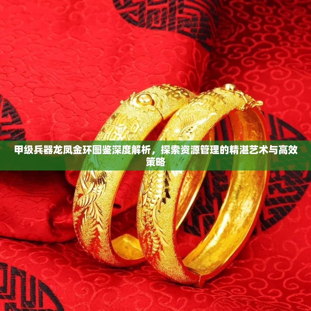 甲级兵器龙凤金环图鉴深度解析，探索资源管理的精湛艺术与高效策略