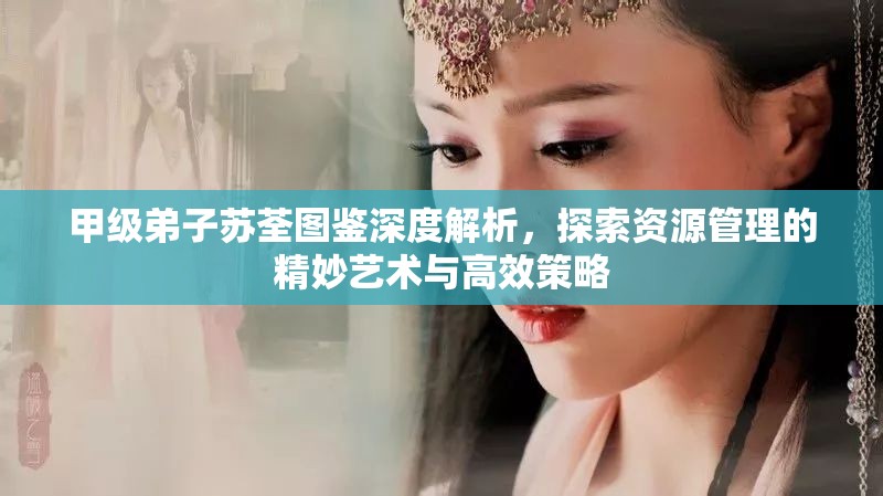 甲级弟子苏荃图鉴深度解析，探索资源管理的精妙艺术与高效策略