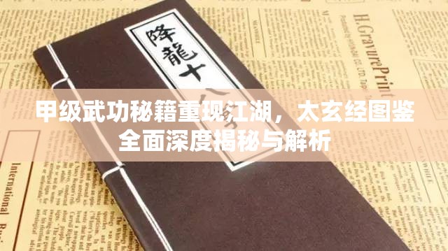 甲级武功秘籍重现江湖，太玄经图鉴全面深度揭秘与解析