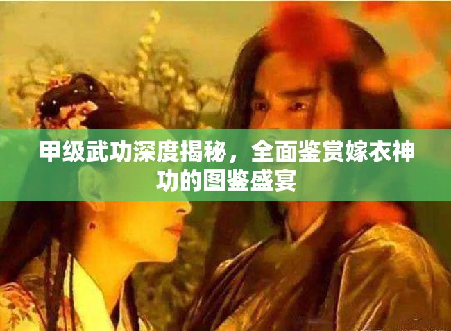甲级武功深度揭秘，全面鉴赏嫁衣神功的图鉴盛宴