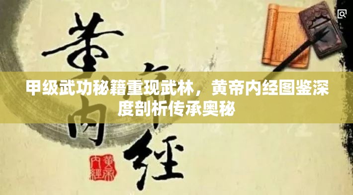 甲级武功秘籍重现武林，黄帝内经图鉴深度剖析传承奥秘