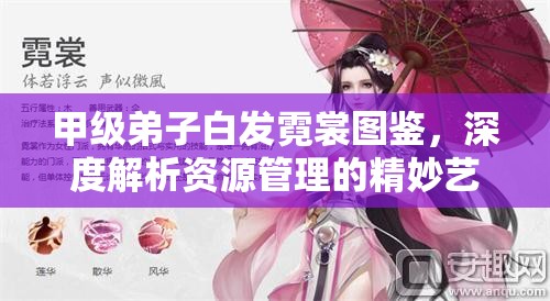 甲级弟子白发霓裳图鉴，深度解析资源管理的精妙艺术与实战策略
