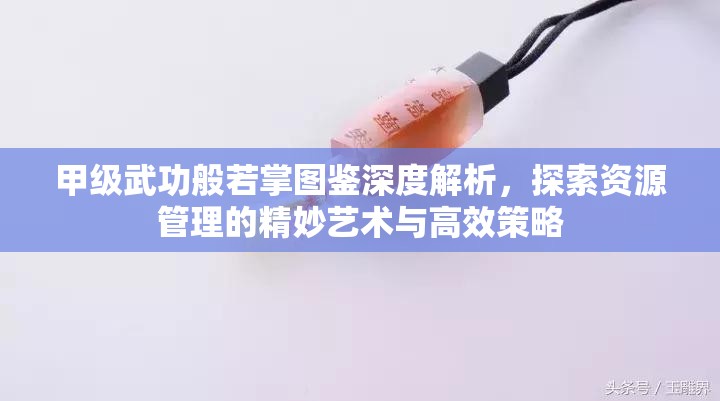 甲级武功般若掌图鉴深度解析，探索资源管理的精妙艺术与高效策略