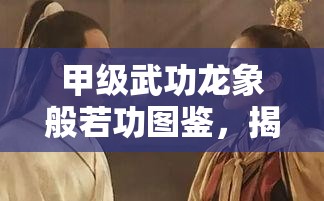 甲级武功龙象般若功图鉴，揭秘资源管理的高效艺术与策略