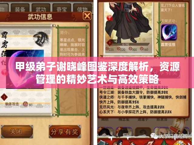 甲级弟子谢晓峰图鉴深度解析，资源管理的精妙艺术与高效策略