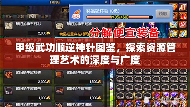 甲级武功顺逆神针图鉴，探索资源管理艺术的深度与广度