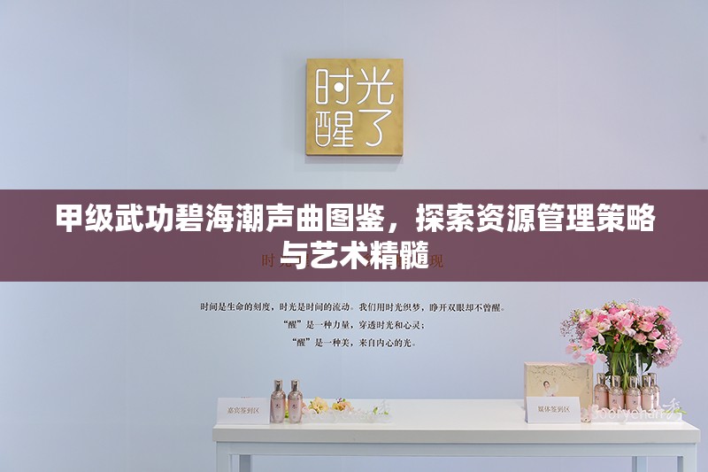甲级武功碧海潮声曲图鉴，探索资源管理策略与艺术精髓