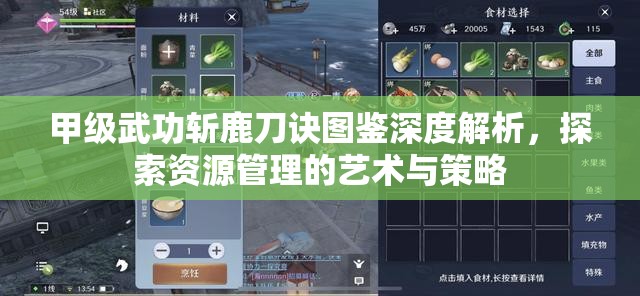 甲级武功斩鹿刀诀图鉴深度解析，探索资源管理的艺术与策略