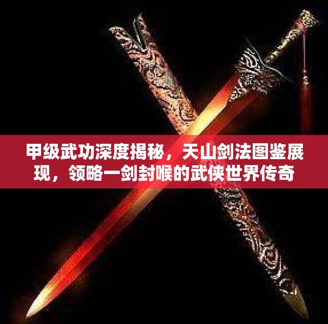 甲级武功深度揭秘，天山剑法图鉴展现，领略一剑封喉的武侠世界传奇