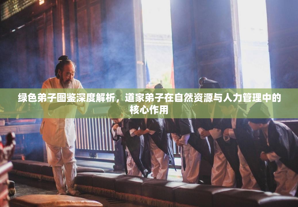 绿色弟子图鉴深度解析，道家弟子在自然资源与人力管理中的核心作用