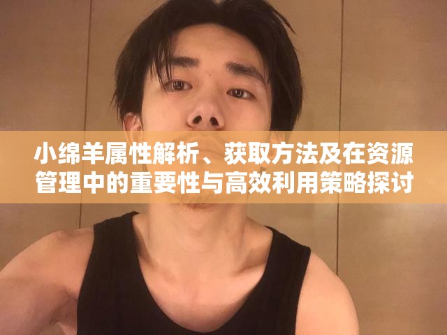 小绵羊属性解析、获取方法及在资源管理中的重要性与高效利用策略探讨