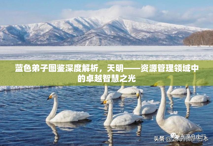 蓝色弟子图鉴深度解析，天明——资源管理领域中的卓越智慧之光