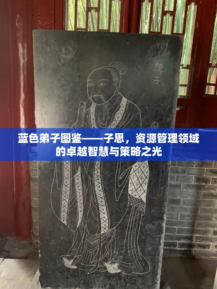 蓝色弟子图鉴——子思，资源管理领域的卓越智慧与策略之光