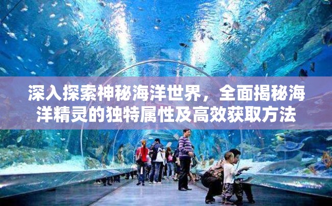 深入探索神秘海洋世界，全面揭秘海洋精灵的独特属性及高效获取方法