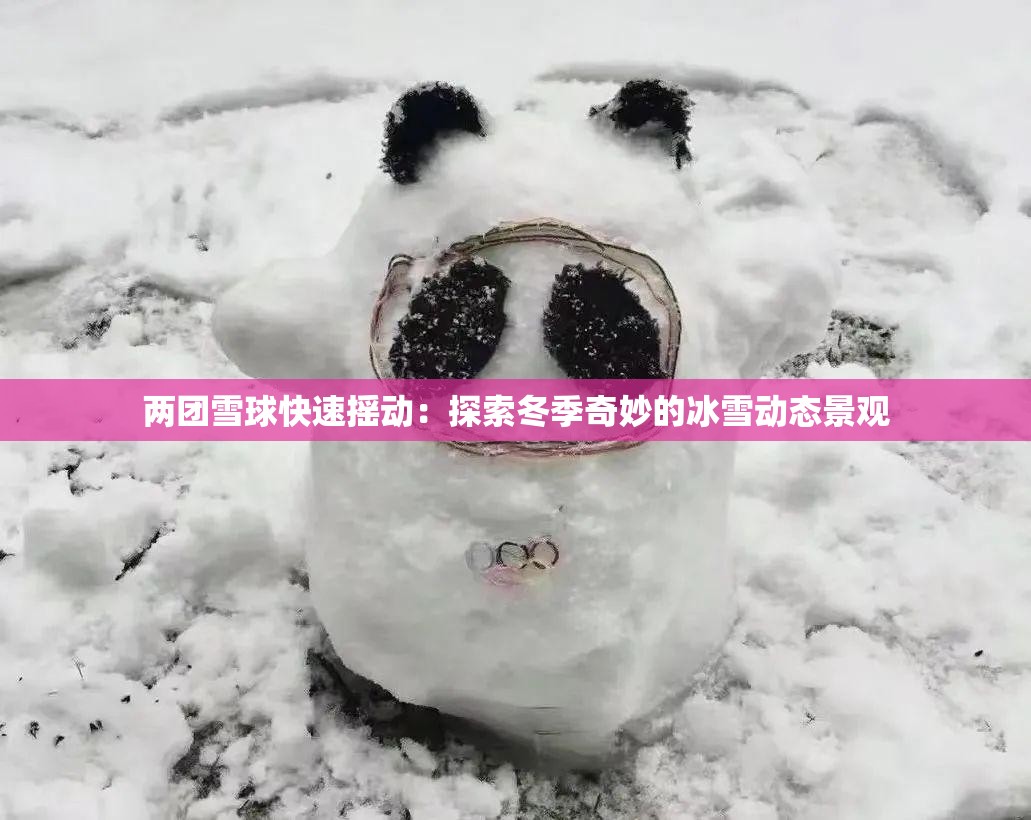 两团雪球快速摇动：探索冬季奇妙的冰雪动态景观