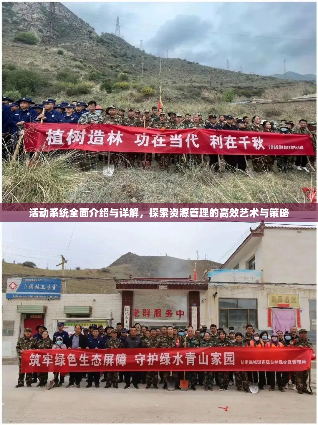 活动系统全面介绍与详解，探索资源管理的高效艺术与策略